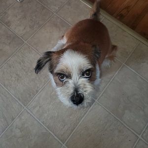 Meet your Posher, Natasha